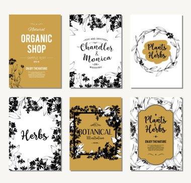 Bitkiler ve otlar afiş kümesi 