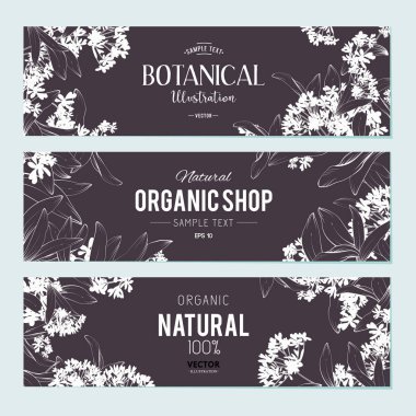 Bitkiler ve otlar afiş kümesi 