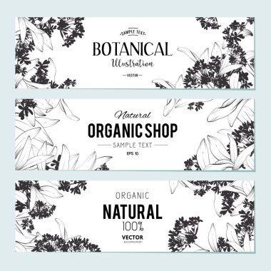 Bitkiler ve otlar afiş kümesi 