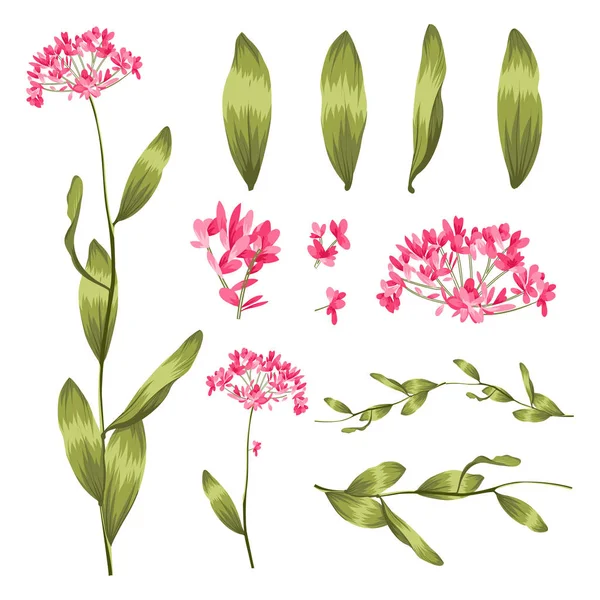 组的植物和草药的图标 — 图库矢量图片