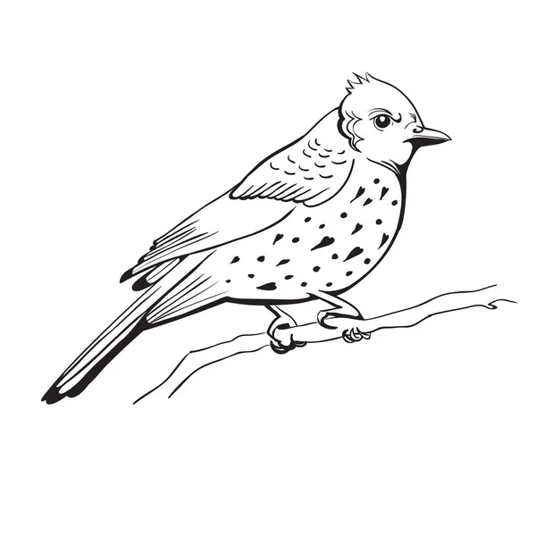 Εικονογράφηση ενός πουλιού. χειροποίητα φόντο — Διανυσματικό Αρχείο
