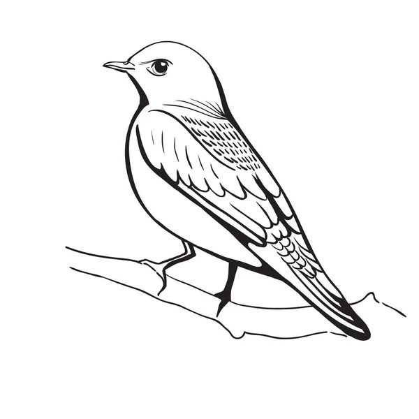 Bir kuş Illustration. el arka plan yapımı — Stok Vektör