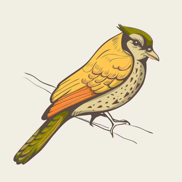 Ілюстрація птаха. рука зроблений фон — стоковий вектор