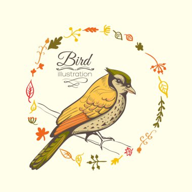 bir kuş Illustration. el arka plan yapımı