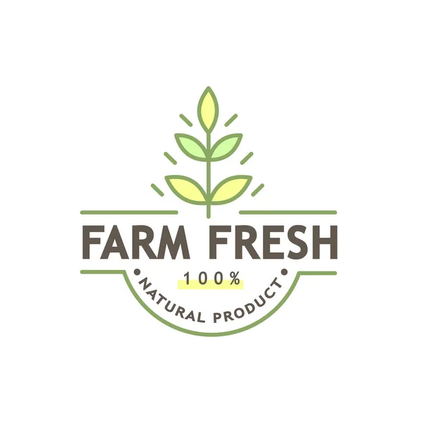 Zdravé potraviny logo obrázek představující — Stockový vektor