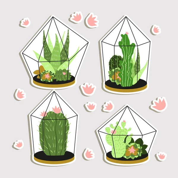 Cactus in Pot Set — стоковый вектор