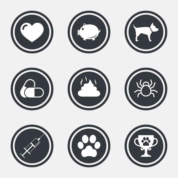 Veterinaria, mascotas iconos. Pata de perro, signos de la jeringa . — Vector de stock