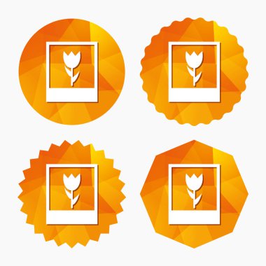 Makro fotoğraf çerçevesi simgesi. 