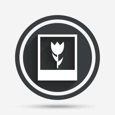 Makro fotoğraf çerçevesi simgesi. 