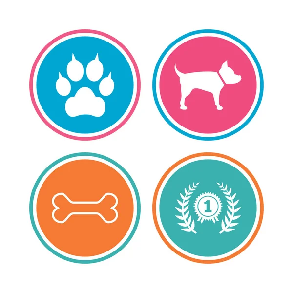 Pets icons set — Stock Vector