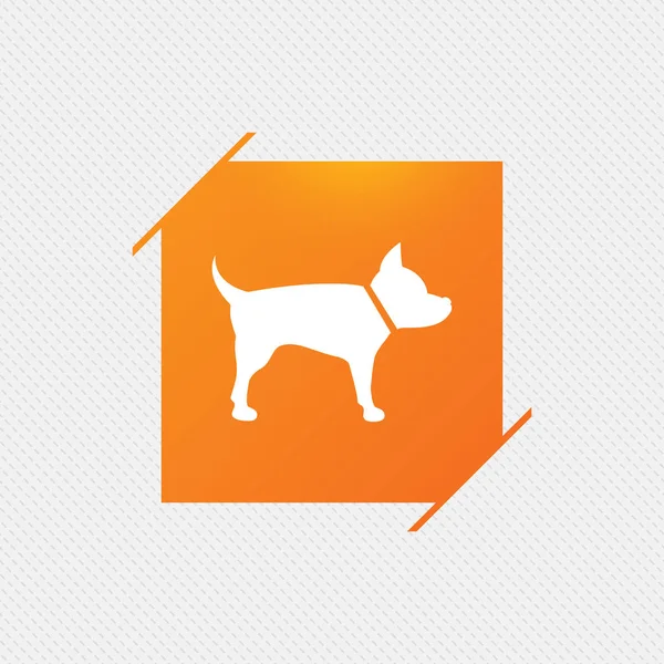 Dog sign icon. — Stock Vector