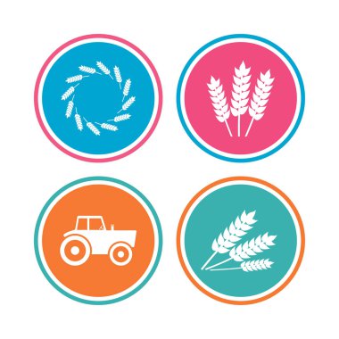 Renkli daire düğmeleri