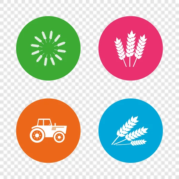 Colorful agricultural icons — Stock Vector