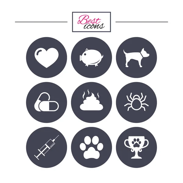 Veterinary, pets icons — Stock Vector