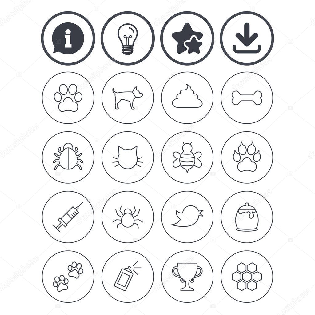 Pets and Insect icons