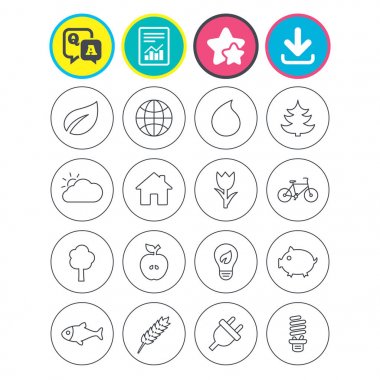 Rapor, download ve yıldız işaretleri