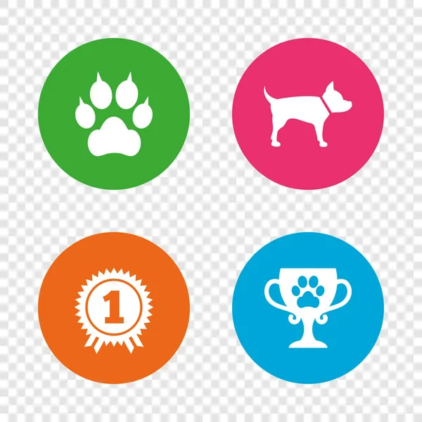 Iconos de mascotas. Gato pata con embragues signo . — Vector de stock