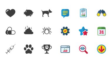 Veteriner, Evcil hayvan kutsal kişilerin resmi. Köpek pençe, işaretleri şırınga.