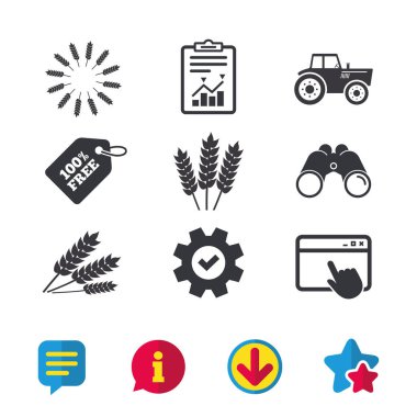 Tarım simgeler. buğday Mısır veya ücretsiz gluten.