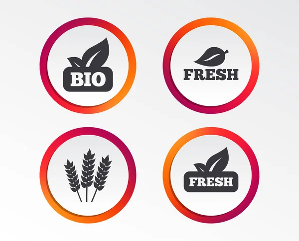 Iconos Naturales Bio Alimentos Frescos Signo Agrícola Sin Gluten Botones — Vector de stock