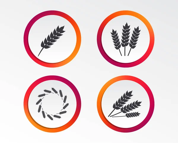 农业偶像 无麸质或无面筋标志 小麦玉米花环象征 图表设计按钮 圆形模板 矢量插图 — 图库矢量图片