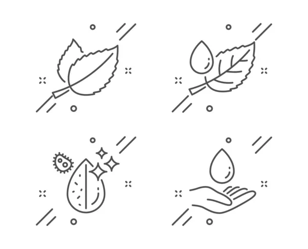 Bladdauw, vuil water en munt laat pictogrammen ingesteld. Watervoorzieningsbord — Stockvector