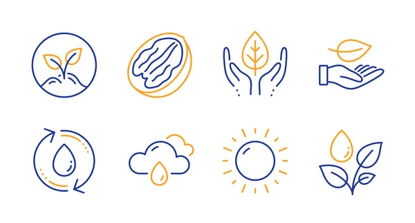 Levél, napsütés és esős időjárás ikonok beállítva. Feltöltő víz, F — Stock Vector