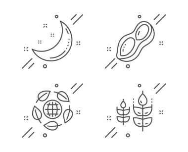 Eko organik, Fıstık ve Ay yıldızları çizgi simgeleri hazır. Glütensiz tabela. Biyolojik malzemeler, vejetaryen fındığı, Gece. Doğa hazır. Çizgi eko organik dış hat ikonu. Vektör