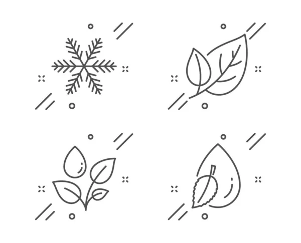 Kar tanesi, bitki sulandırma ve yaprak ikonları. Su damlası işareti. — Stok Vektör
