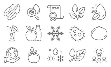 Fındık, Elma gibi doğa ikonları. Diploma, fikirler, gezegeni kurtarmak. Çevre yiyecekleri, bakteriler, su damlası. Su bardağı, çiğ taneleri, bitki sulama. Macadamia fındığı, kar tanesi, hava çizgisi ikonları. Vektör