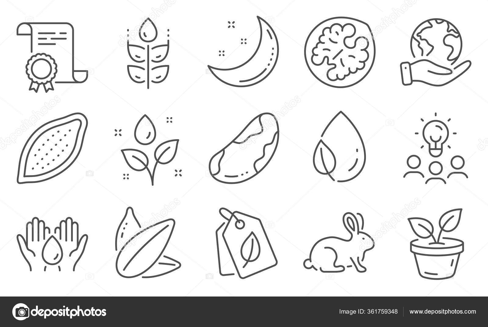 Moon - Free nature icons