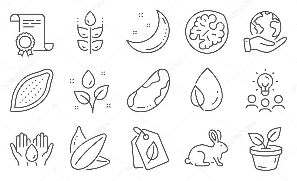 Set of Nature icons, such as Safe water, Moon stars. Diploma, ideas, save planet. Leaf dew, Sunflower seed, Cocoa nut. Bio tags, Gluten free, Brazil nut. Leaves, Plants watering, Animal tested. Vector