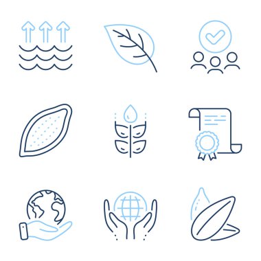 Glütensiz, kakaolu fındıklı ve ayçiçeği tohumu ikonlu. Diploma sertifikası, gezegeni kurtarmak, bir grup insan. Organik testler, buharlaşma ve Yaprak işaretleri. Vektör
