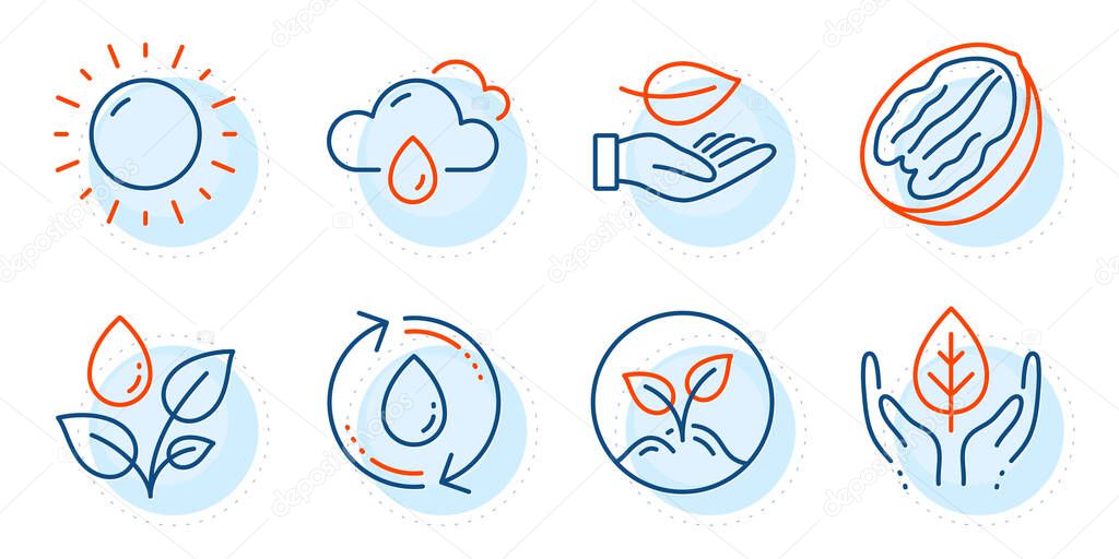 Refill water, Fair trade and Startup signs. Leaf, Sunny weather and Rainy weather line icons set. Pecan nut, Plants watering symbols. Plant care, Sun. Nature set. Outline icons set. Vector