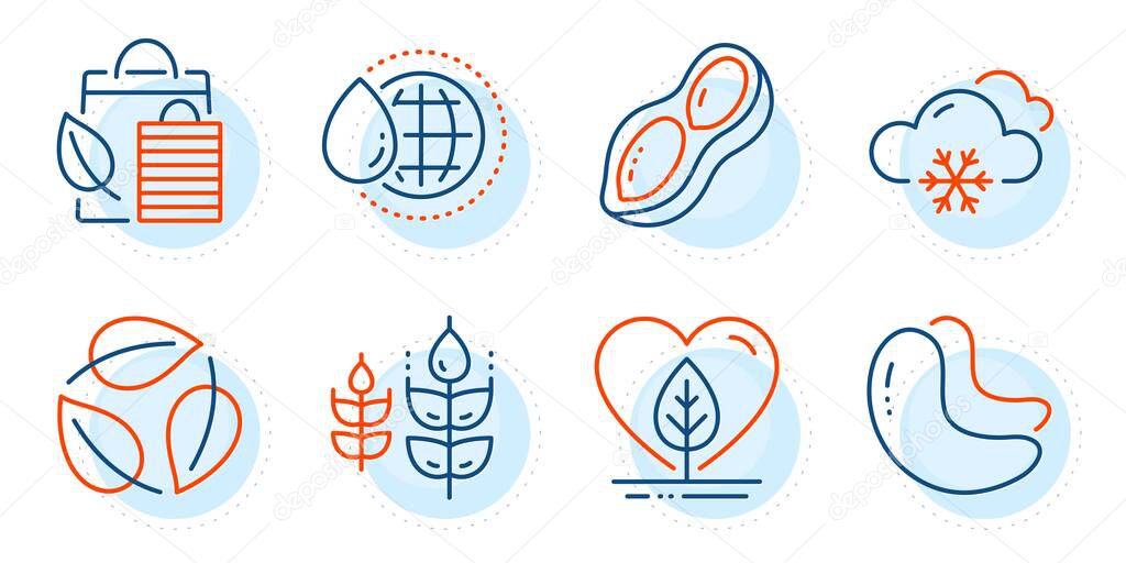 Local grown, Peanut and Bio shopping signs. Leaves, Cashew nut and Gluten free line icons set. Snow weather, World water symbols. Nature leaf, Vegetarian food. Nature set. Outline icons set. Vector