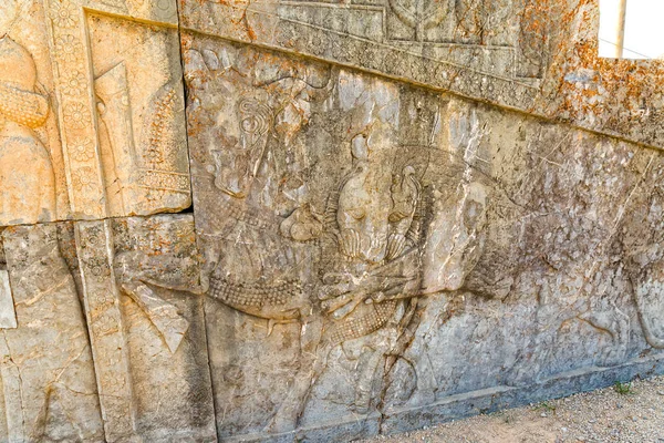 Leão detalhe alívio persépolis — Fotografia de Stock