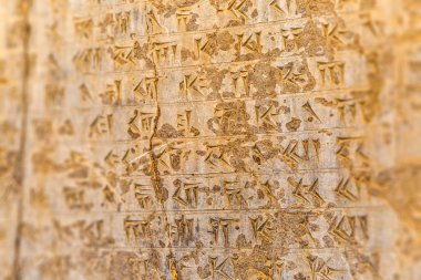 Cuneiform letters Persepolis clipart
