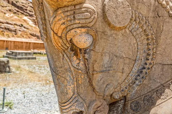 Toro testa Persepolis — Foto Stock