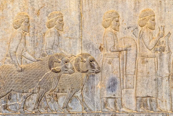 Residents of historical empire with animals in Persepolis — Stock Photo, Image