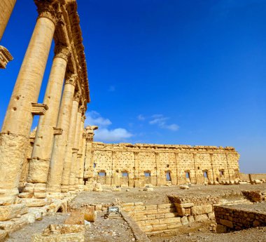 Palmyra Bel Tapınağı Suriye