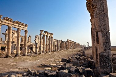 Apamea Harabeleri Suriye