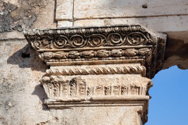 Apamea sütun detay