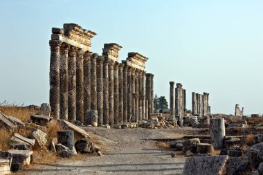Apamea çift bükümlü sütunları Suriye
