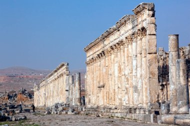 Apamea sokak sütunları Suriye