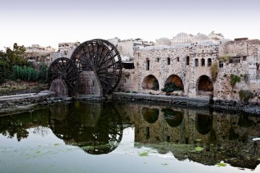 Hama ahşap norias Suriye
