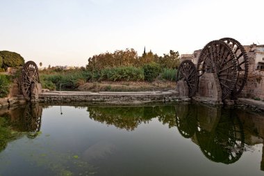 Hama ahşap norias Suriye