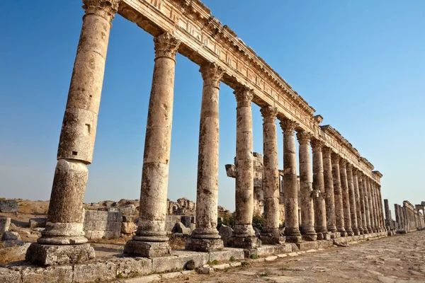 Apamea-säulen syrien — Stockfoto