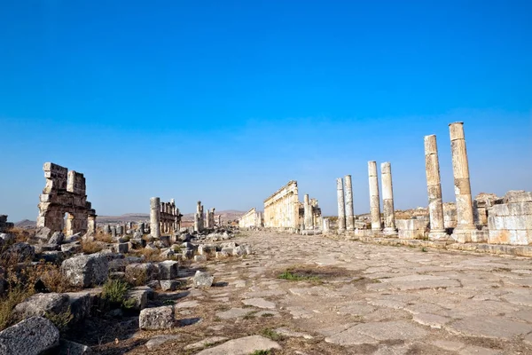 Apamea antigua calle Siria — Foto de Stock