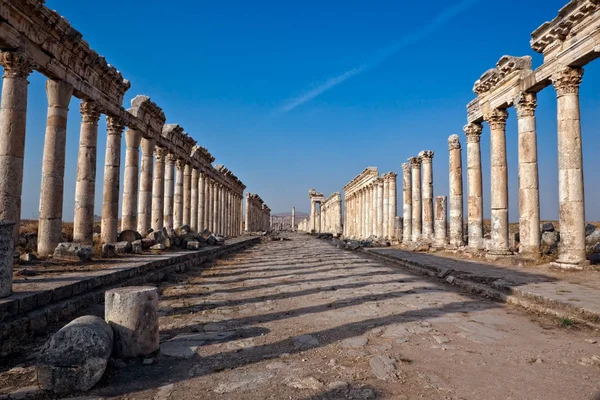 Apamea cardo straße syrien — Stockfoto