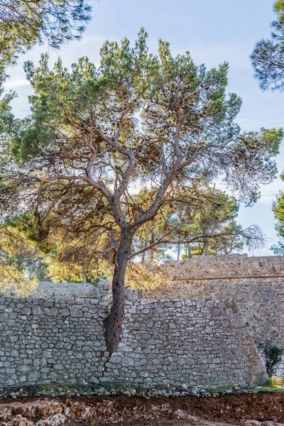 Kracht van de natuur — Stockfoto